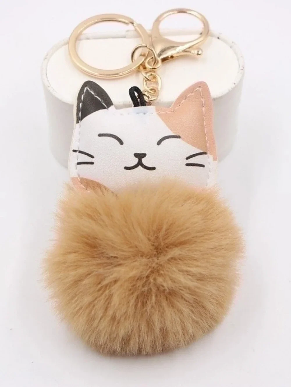 N/A cute cat