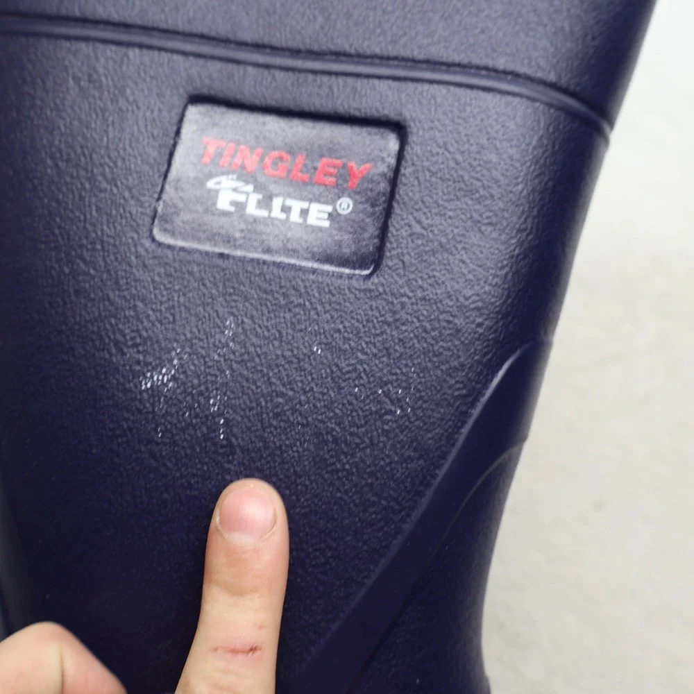 Tingley few blemish