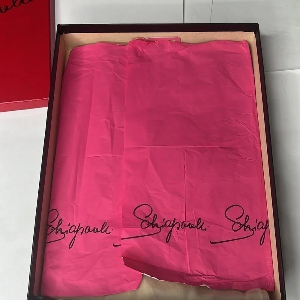 Schiaparelli this very