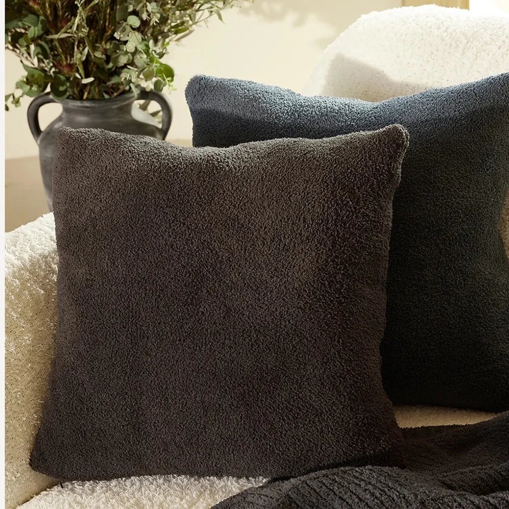 Barefoot Dreams this pillow