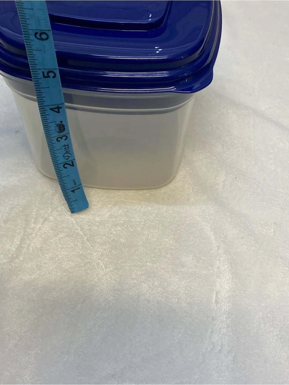 Fit & Fresh plastic sectional food storage container with a blue lid lunchbox
