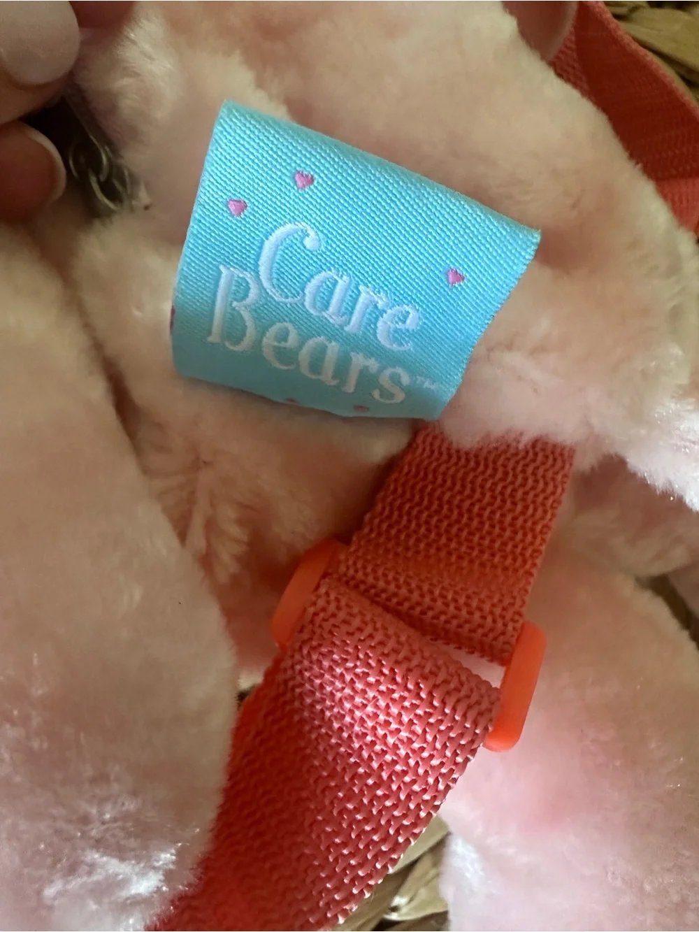 Care Bears brand care