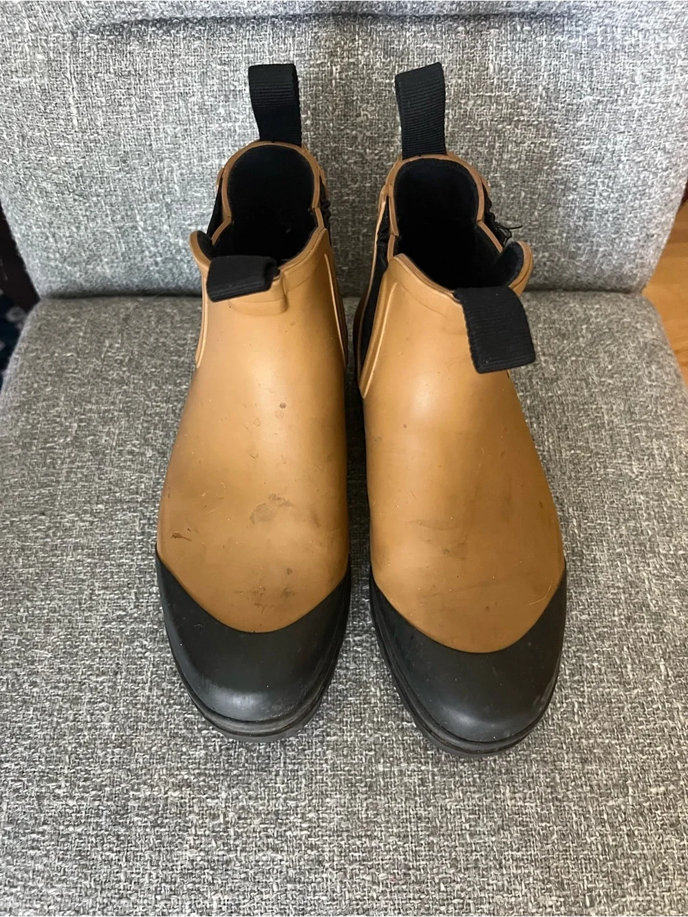 Everlane golden oak