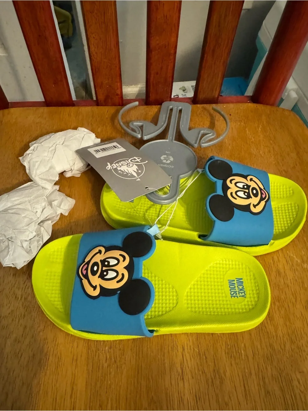Disney fun slides