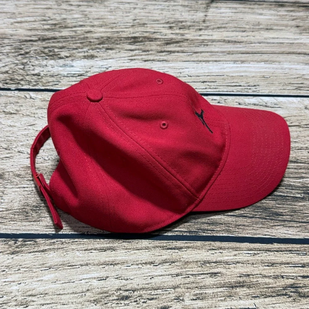 Jordan jumpman baseball