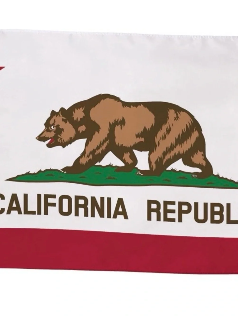 California Republic Bear Graphic Flag Print 3x5