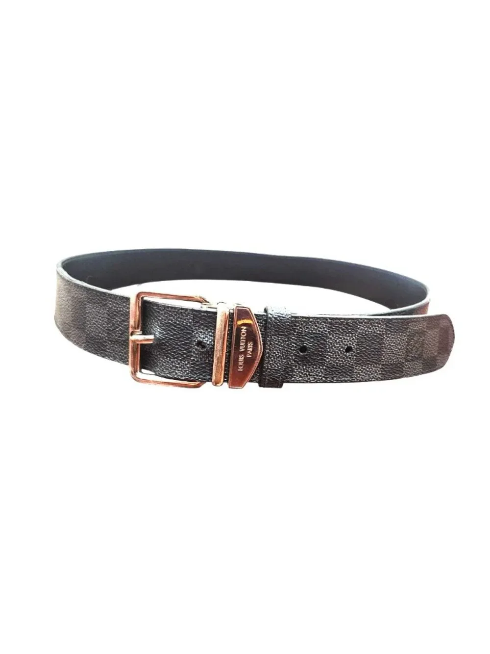Louis Vuitton brand louis