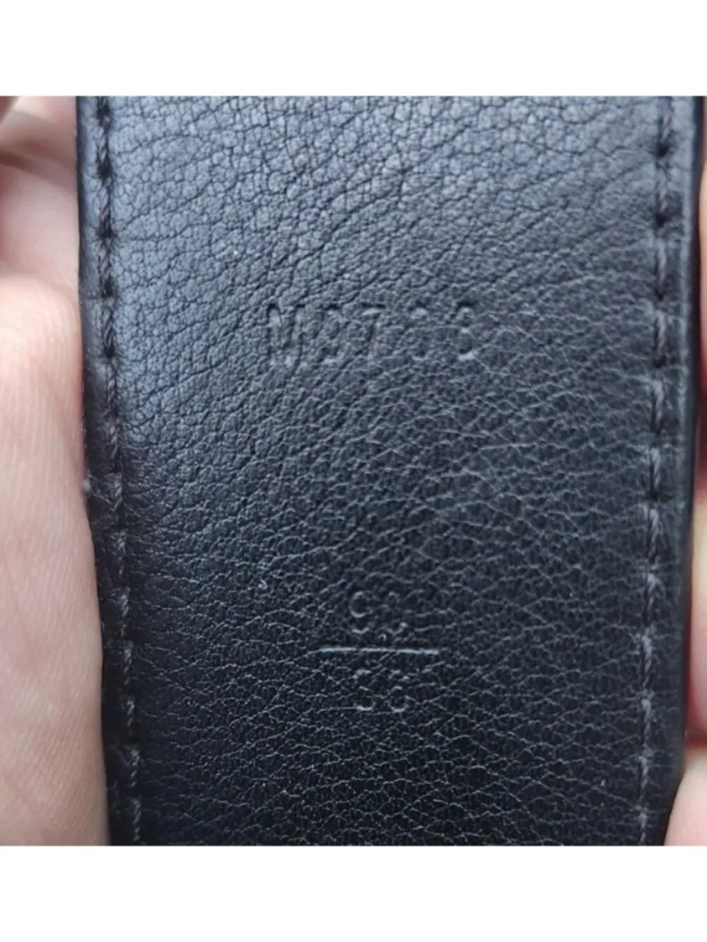 Louis Vuitton brand louis