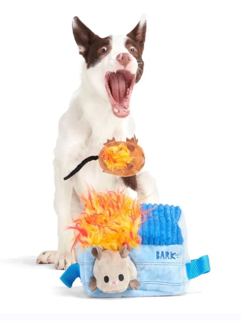 Bark includes flaming