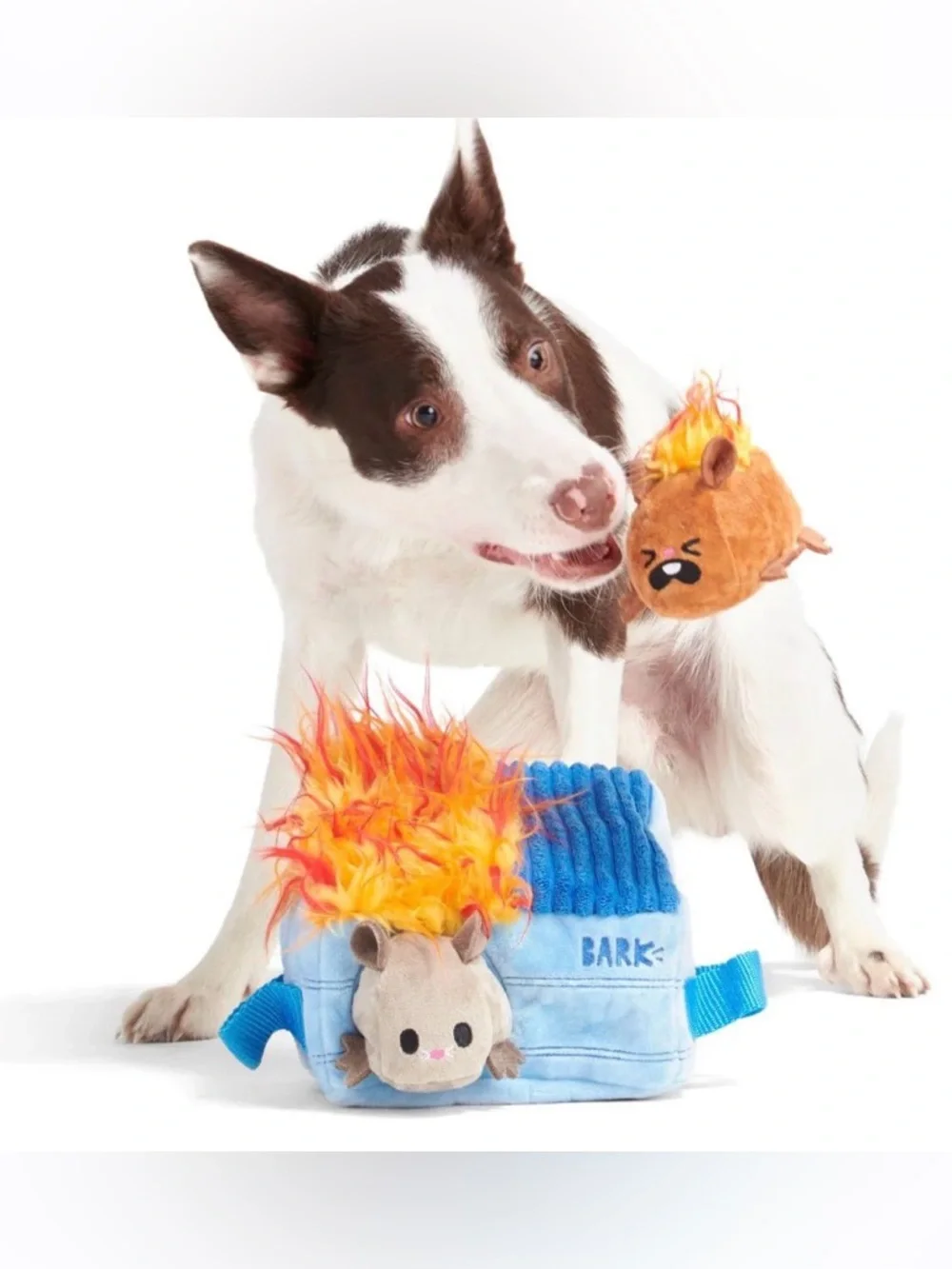 Bark includes flaming