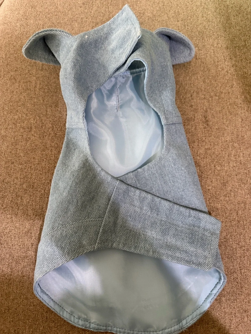 Simplydog everyday blue