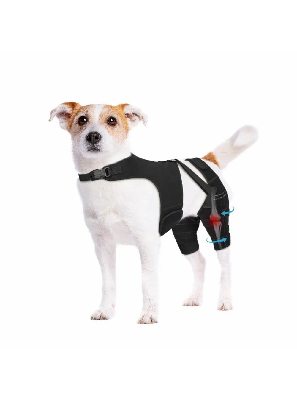 Pawfun XS  Dog Knee Brace Torn ACL Hind Leg Dog Metal Stabilizers