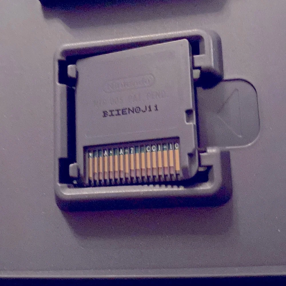 Nintendo ds game