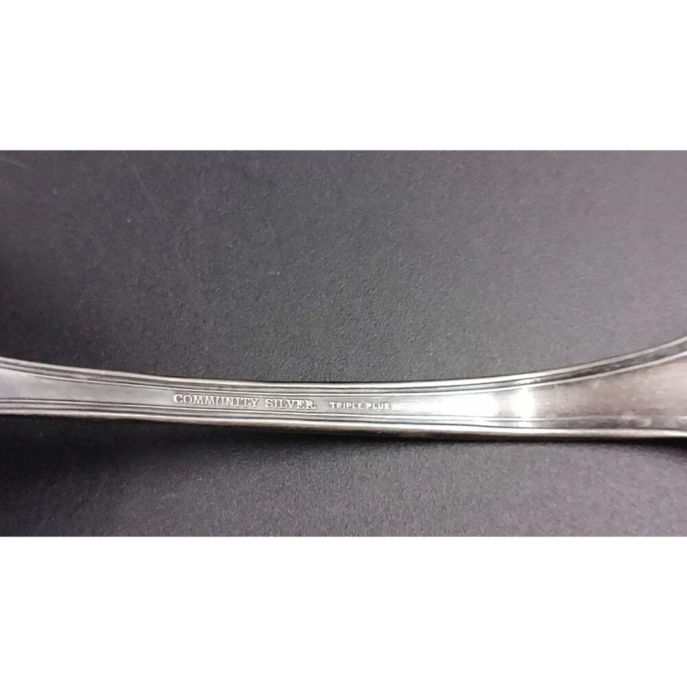 Community vintage silver