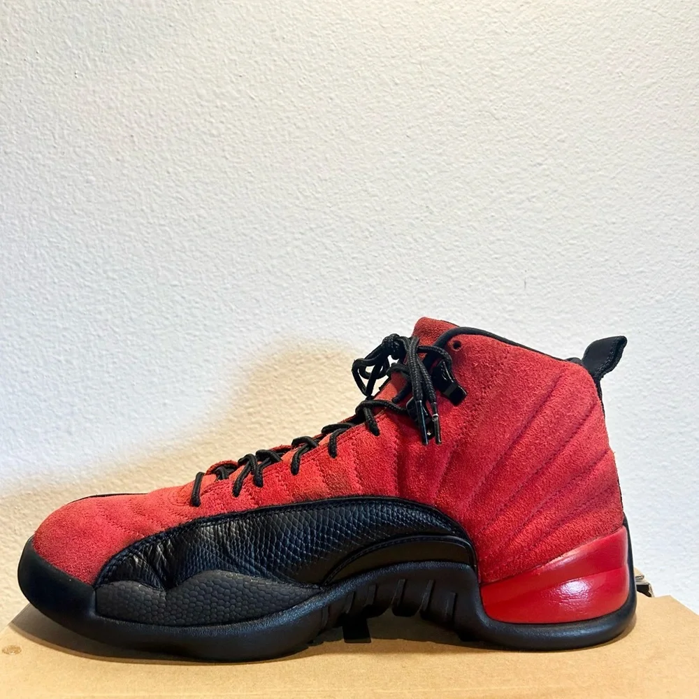 Jordan 12 retro