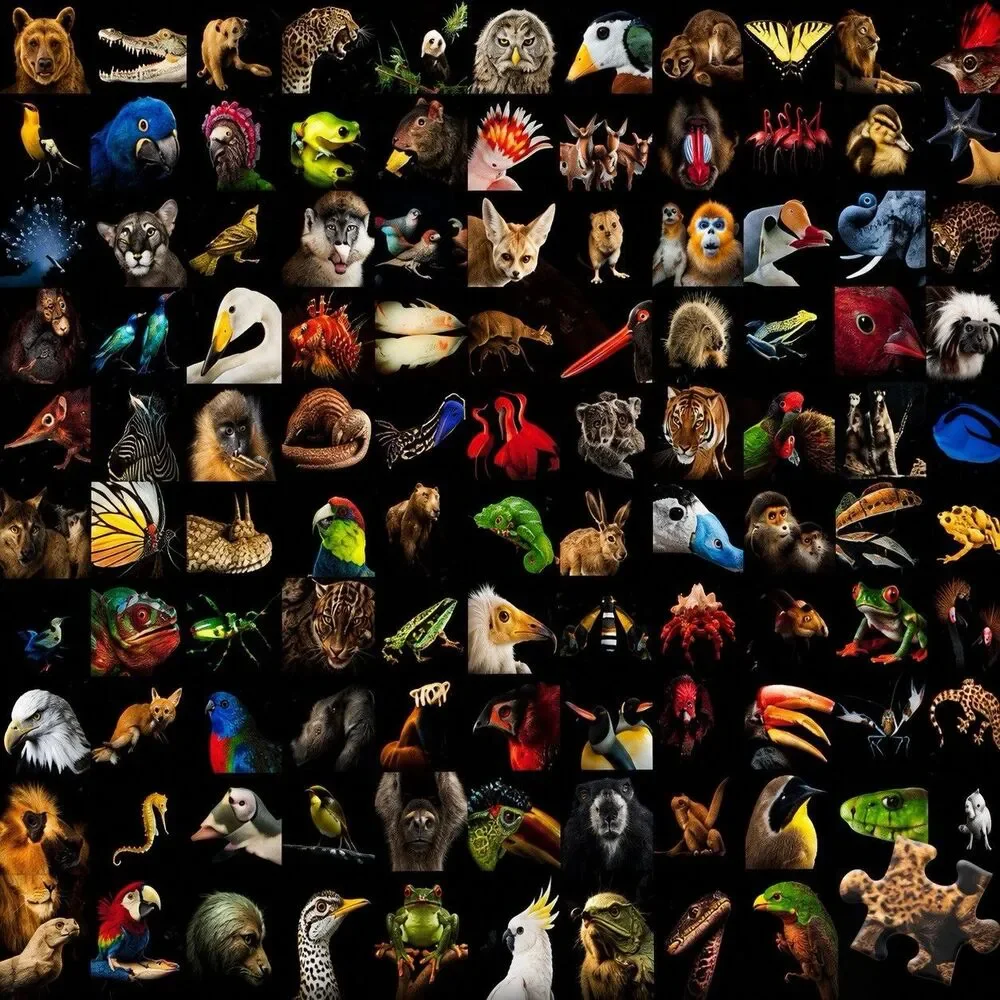 Ravensburger 99 Animals Puzzle 1000 Piece‎ Wildlife Safari Nature Art Collage
