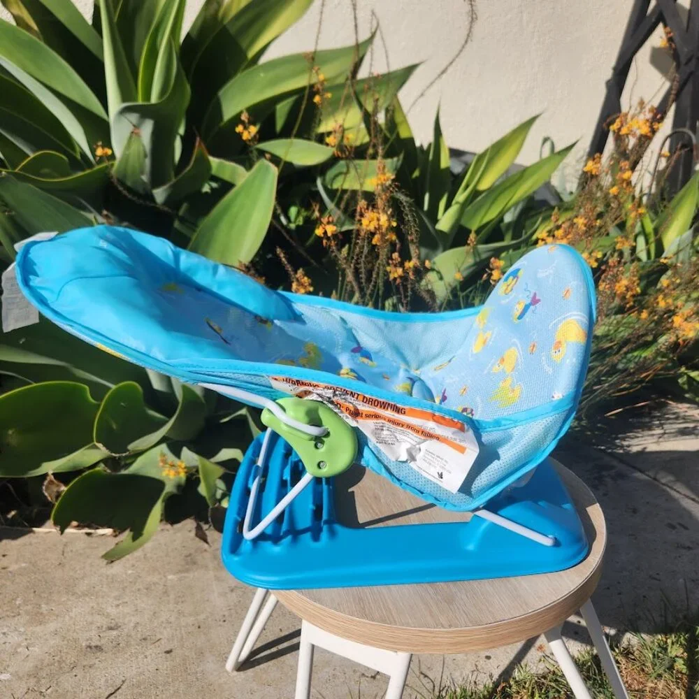 Summer comes not ducks