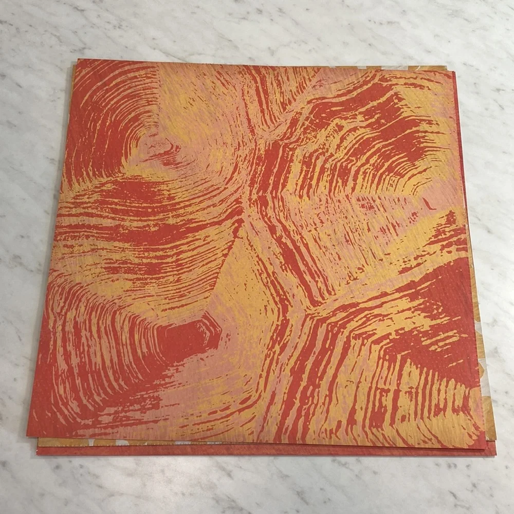 Orange Yellow Safari Print Scrapbook Papers 15 Sheets 12x12
