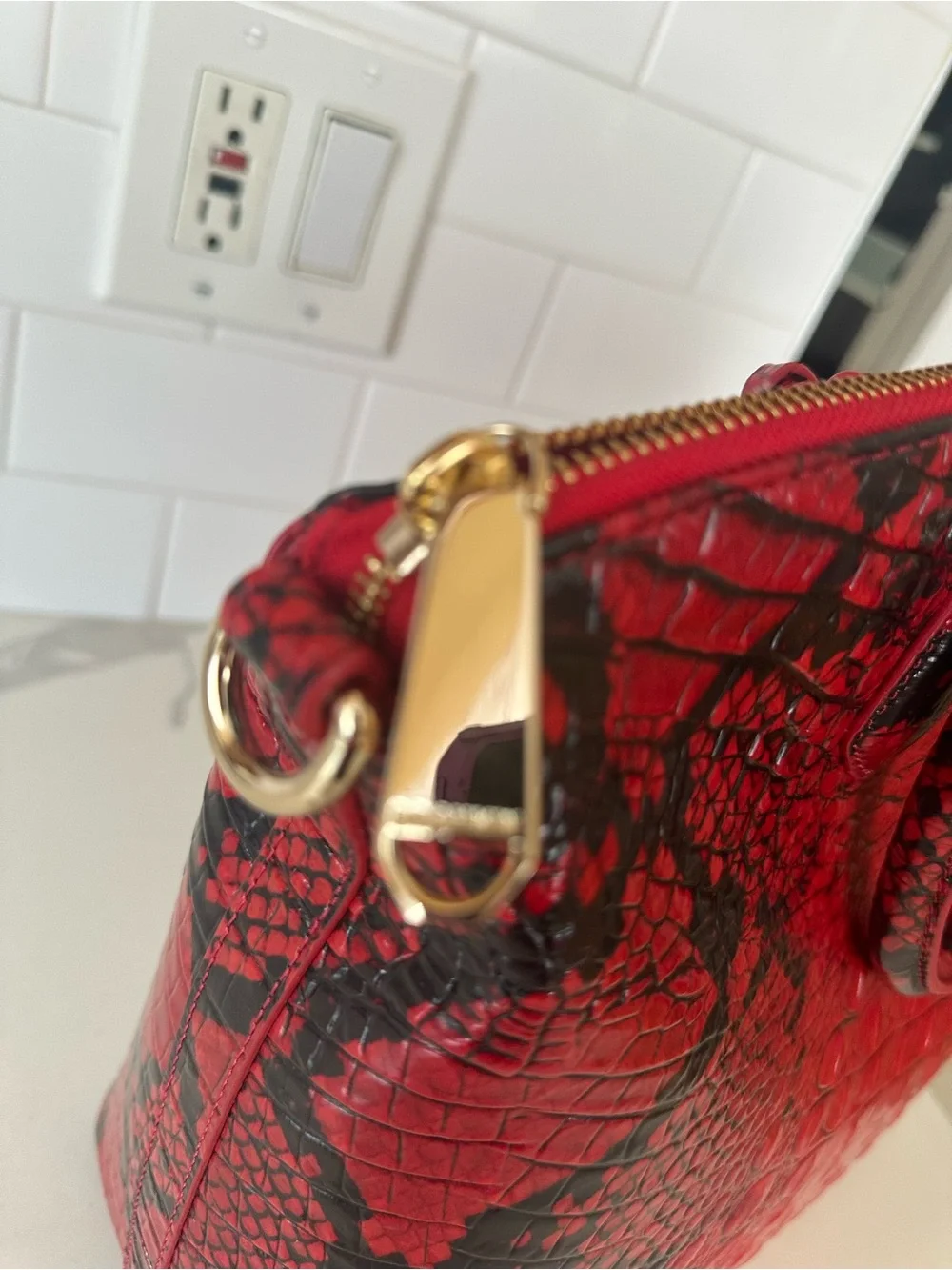 Brahmin excellent no