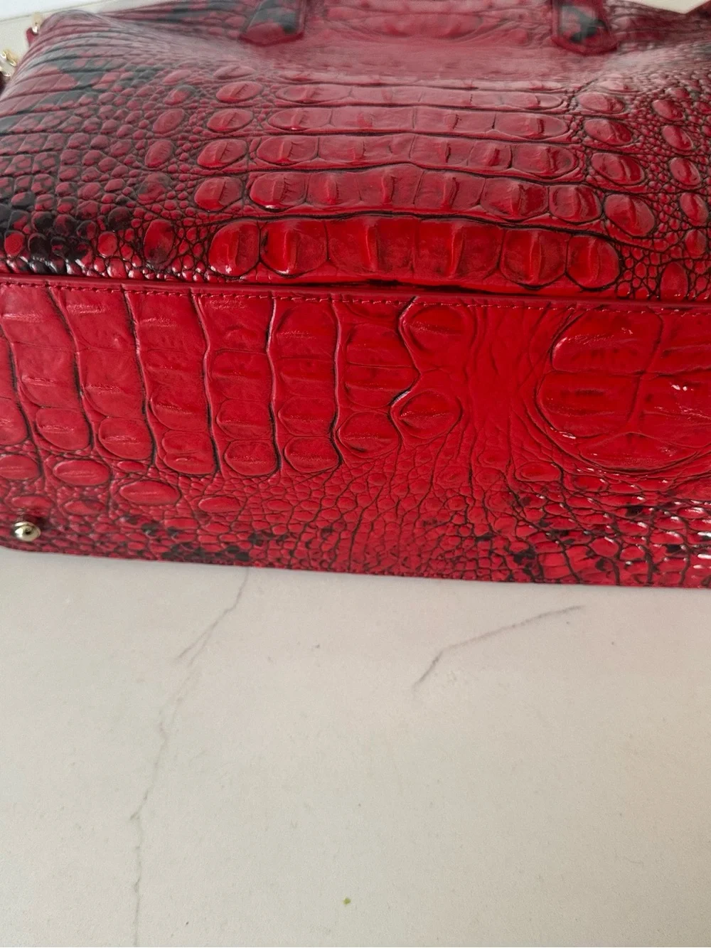 Brahmin excellent no