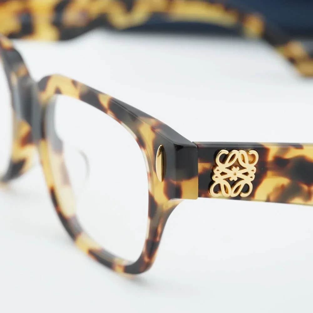 Loewe model lw50091f