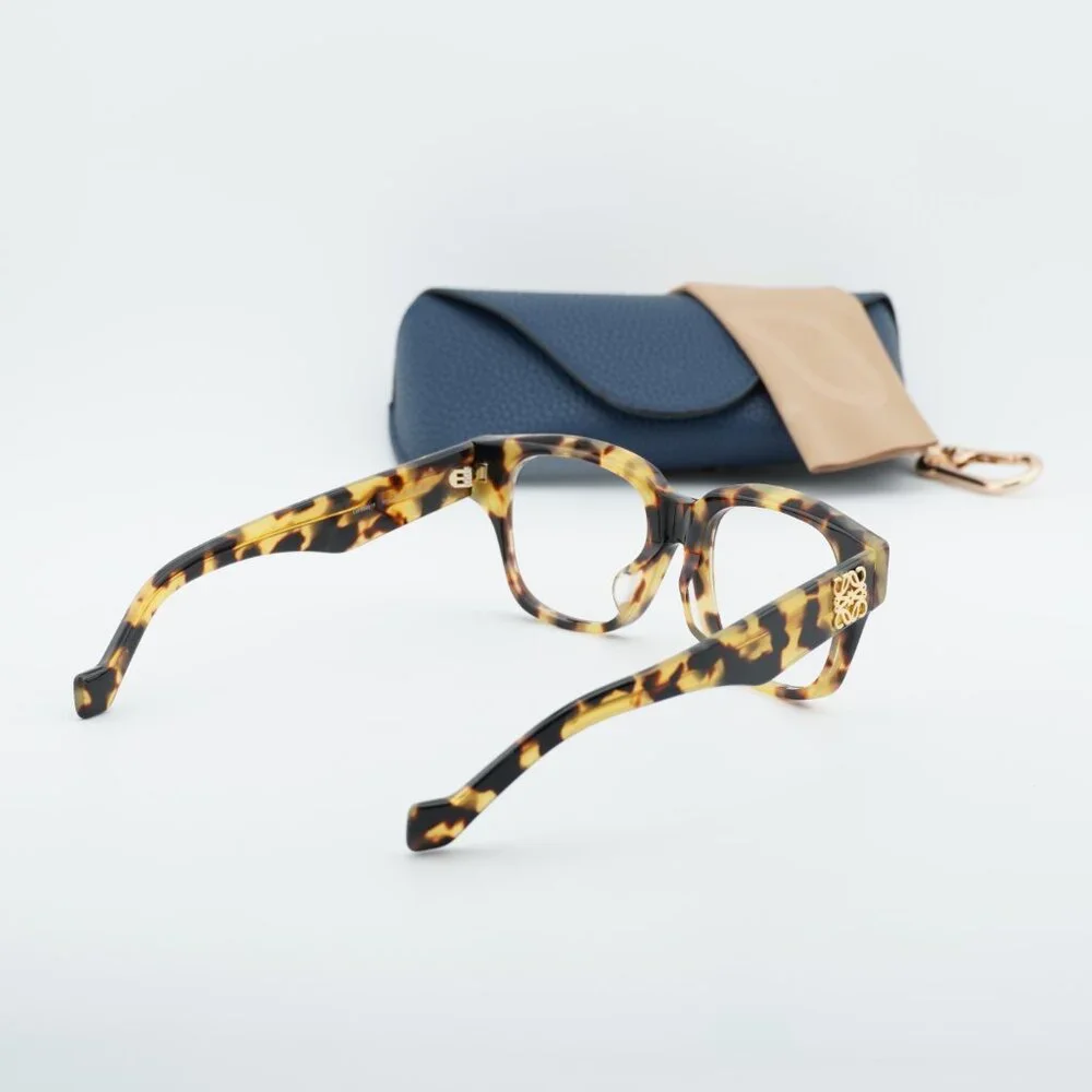 Loewe model lw50091f