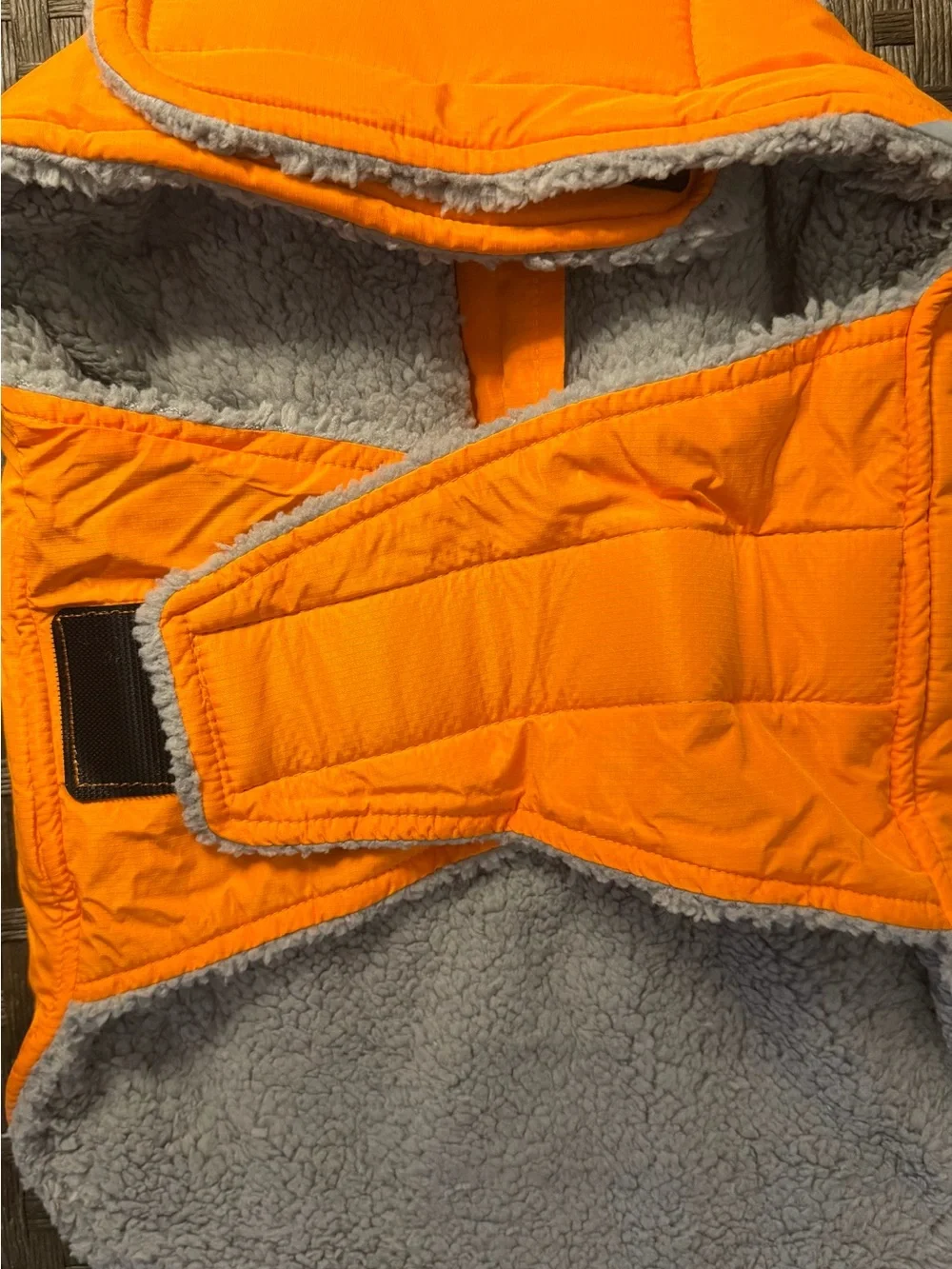 Vivaglory bright orange