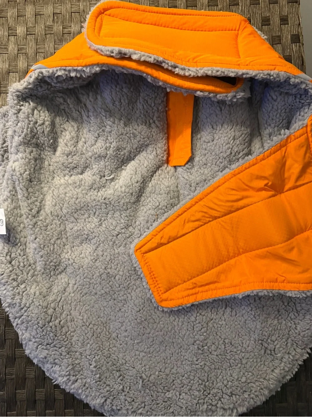 Vivaglory bright orange