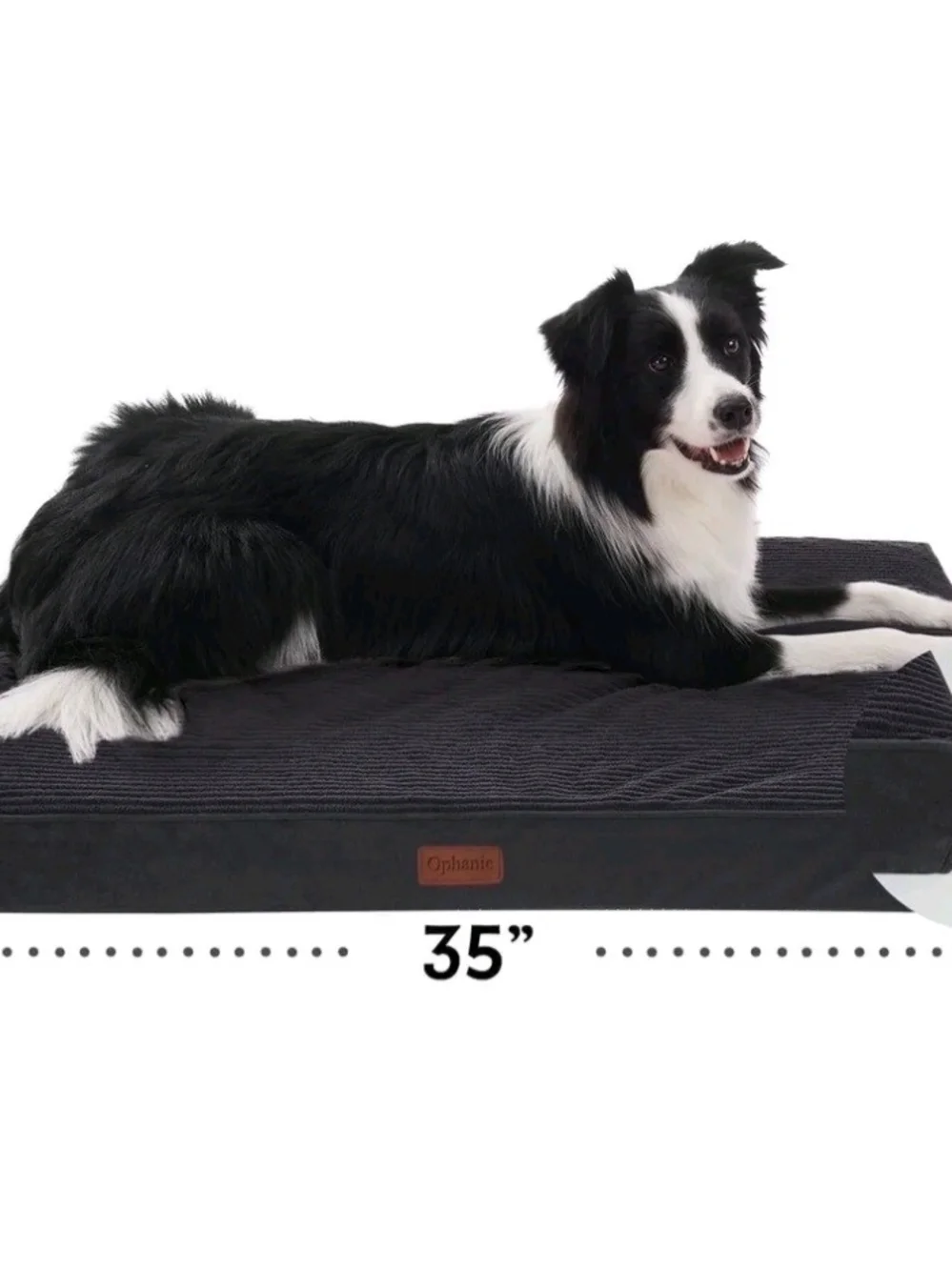 ophanie dog orthopedic