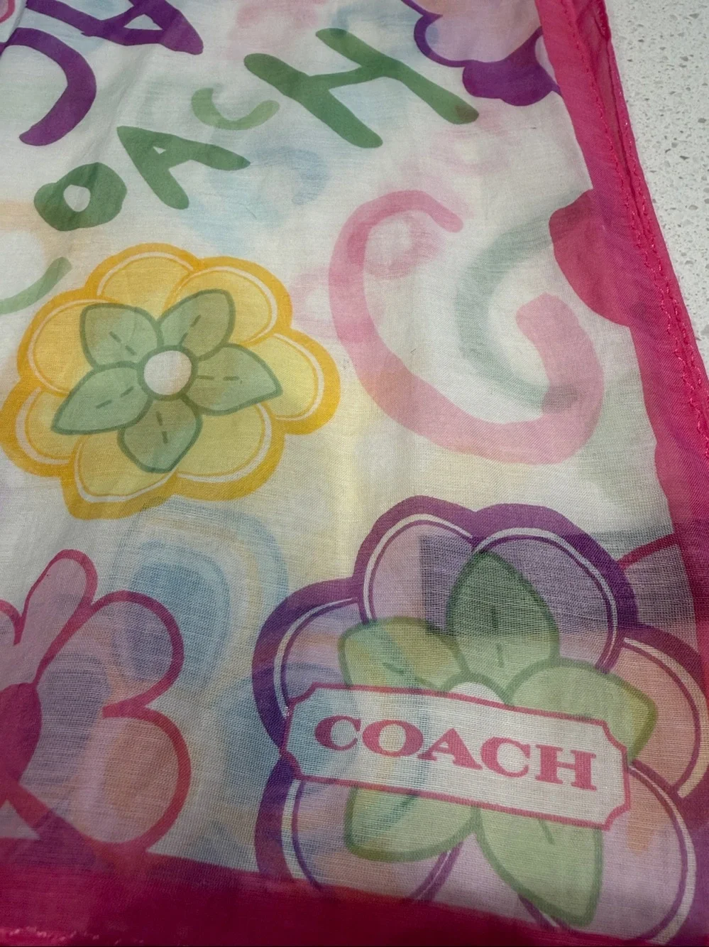 Coach sheer scarf