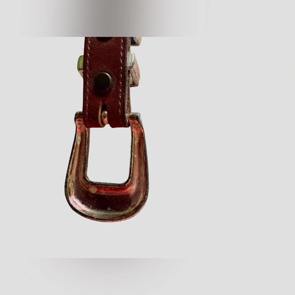Brighton buckle links