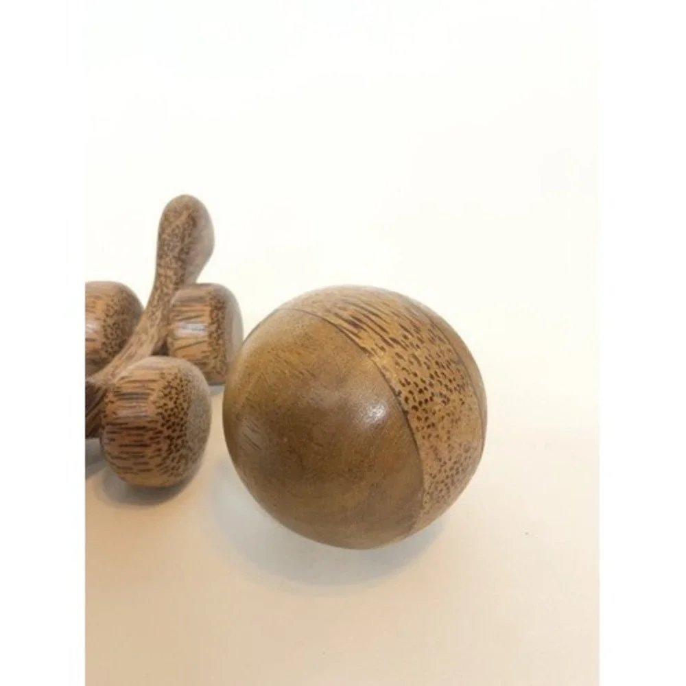 NWOB Turtle Push Toy Educational Wooden Toyon‎ Wheels With Rolling Ball On Top
