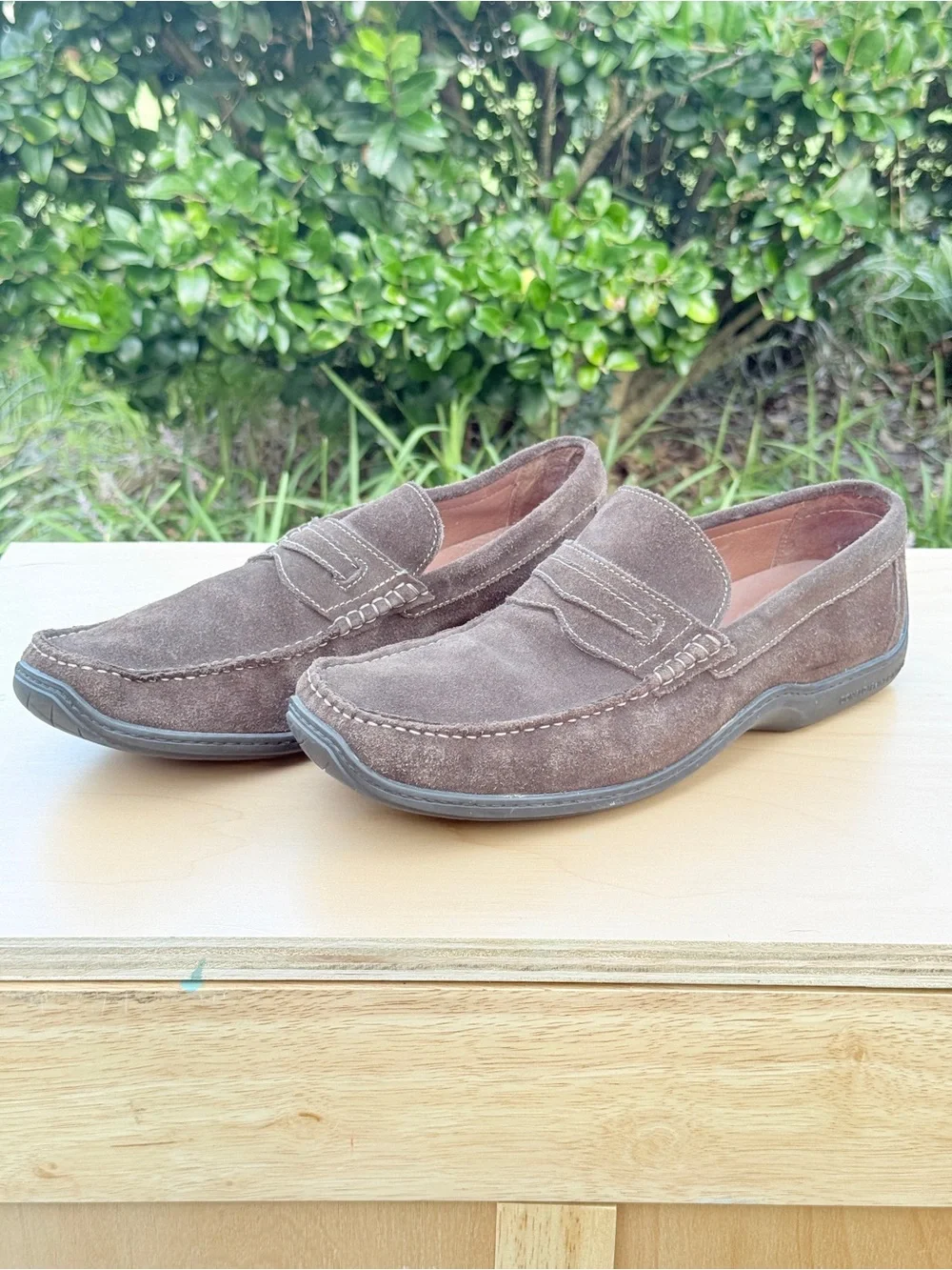 Toms skechers bobs