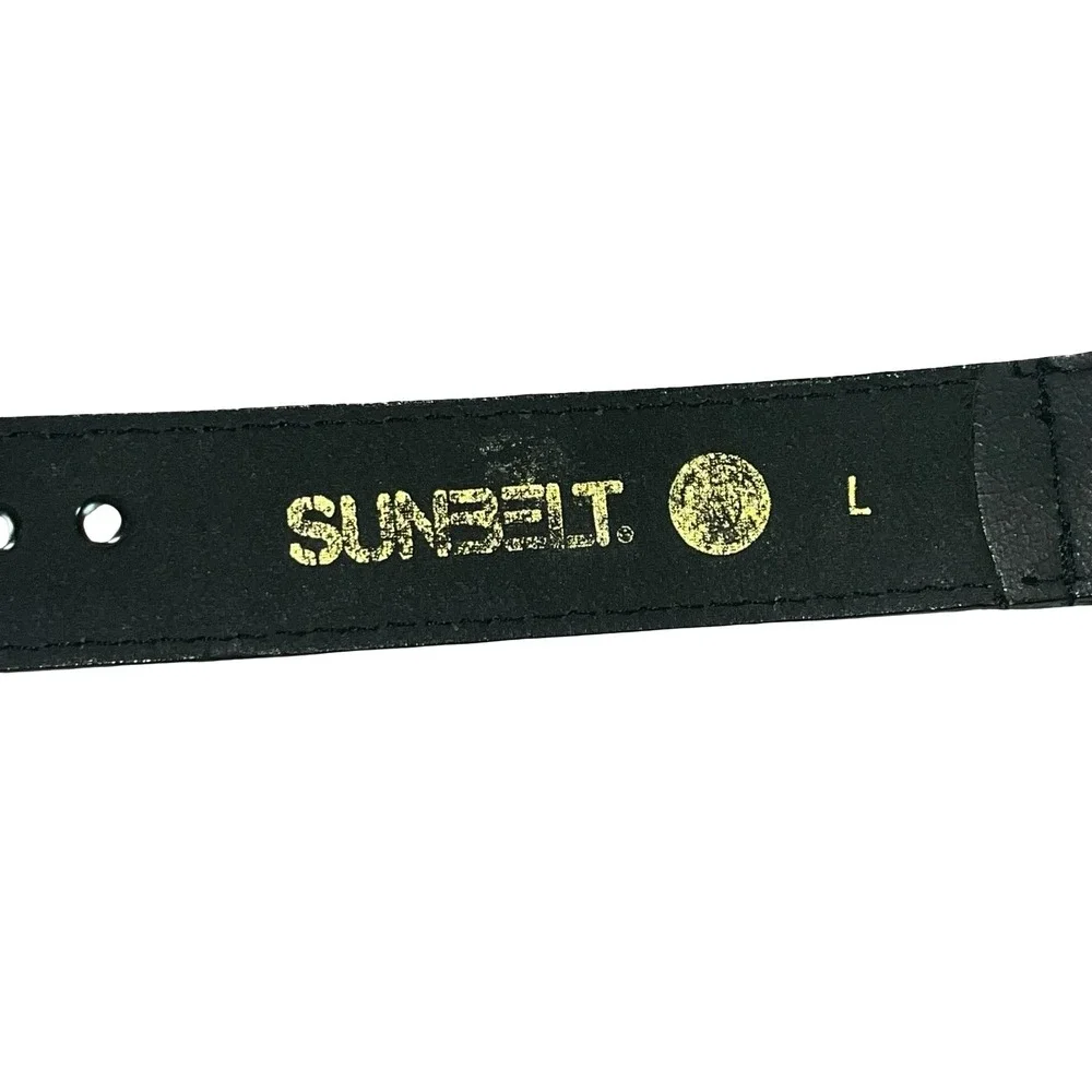 Sunbelt desert snake