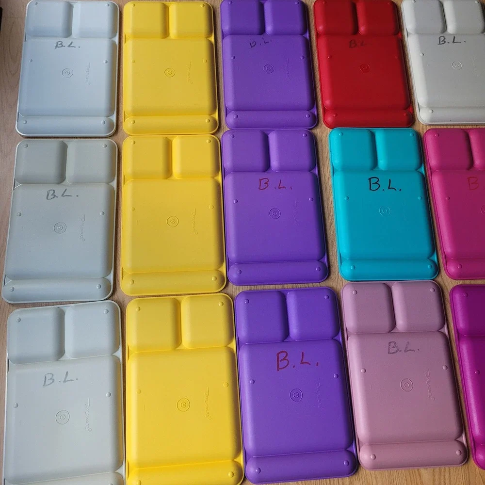 Tupperware‎ Divided Set Lot 15 Colors Lunch Dinner TV 90s