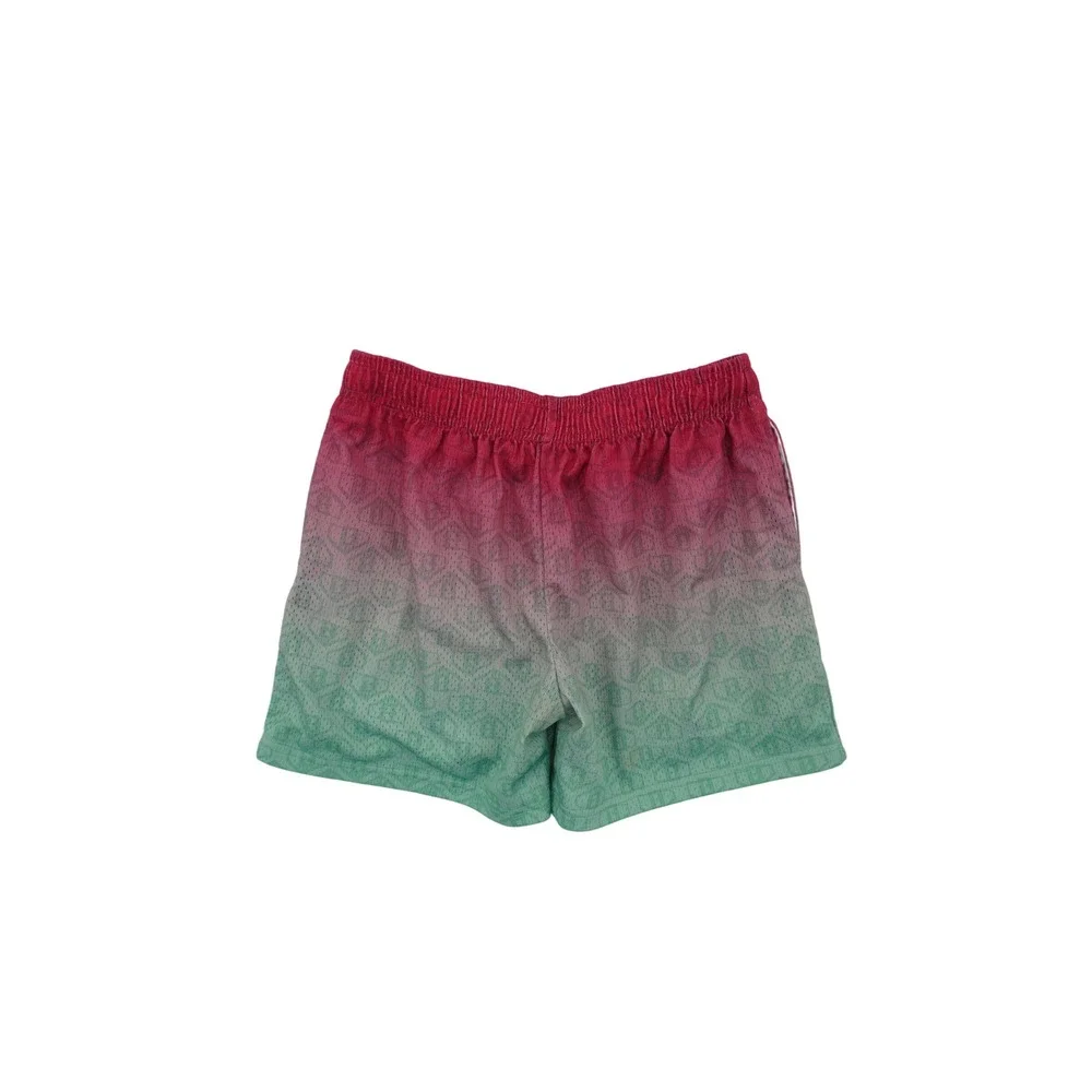Baseball Lifestyle 101 Mesh Gradient Shorts Youth Large
