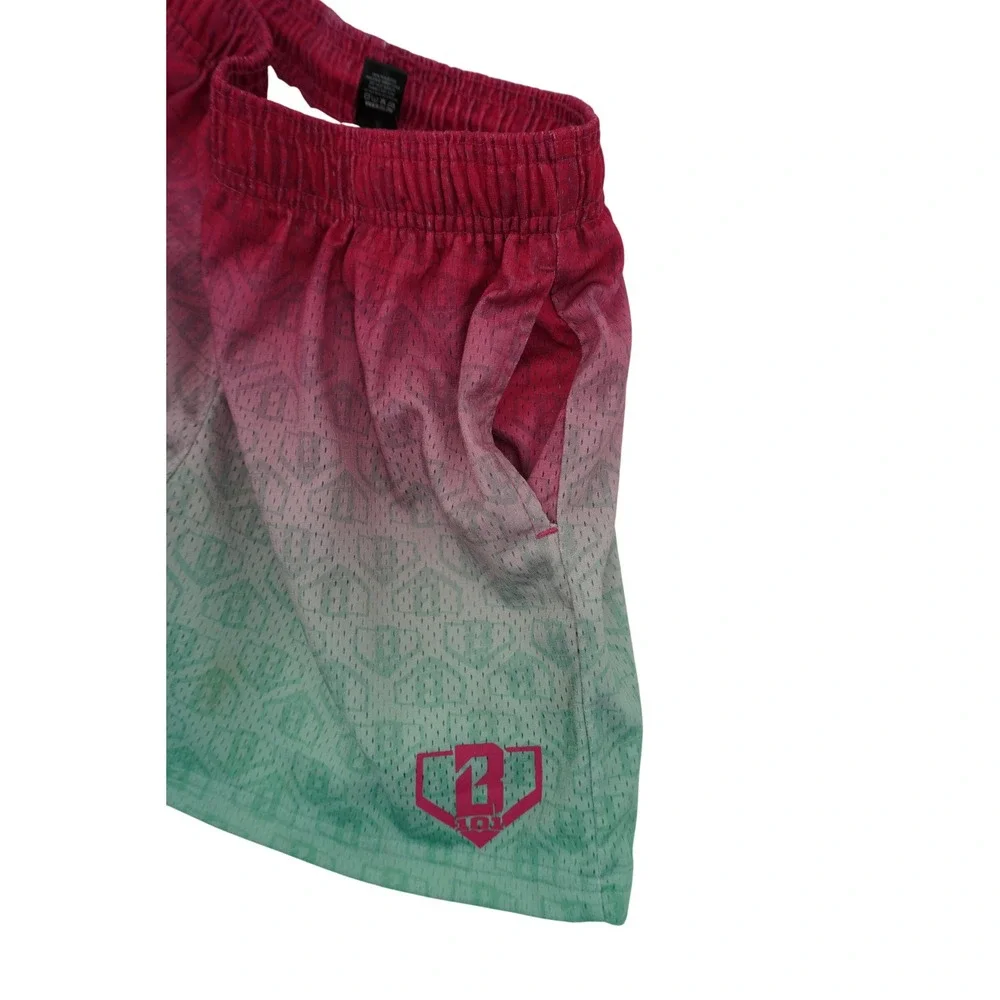 Baseball Lifestyle 101 Mesh Gradient Shorts Youth Large