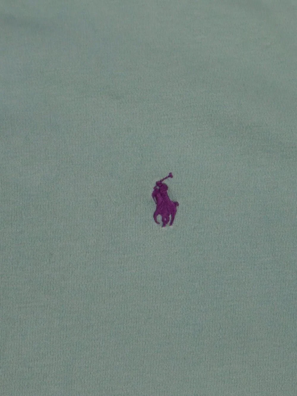 Polo Ralph Lauren this polo