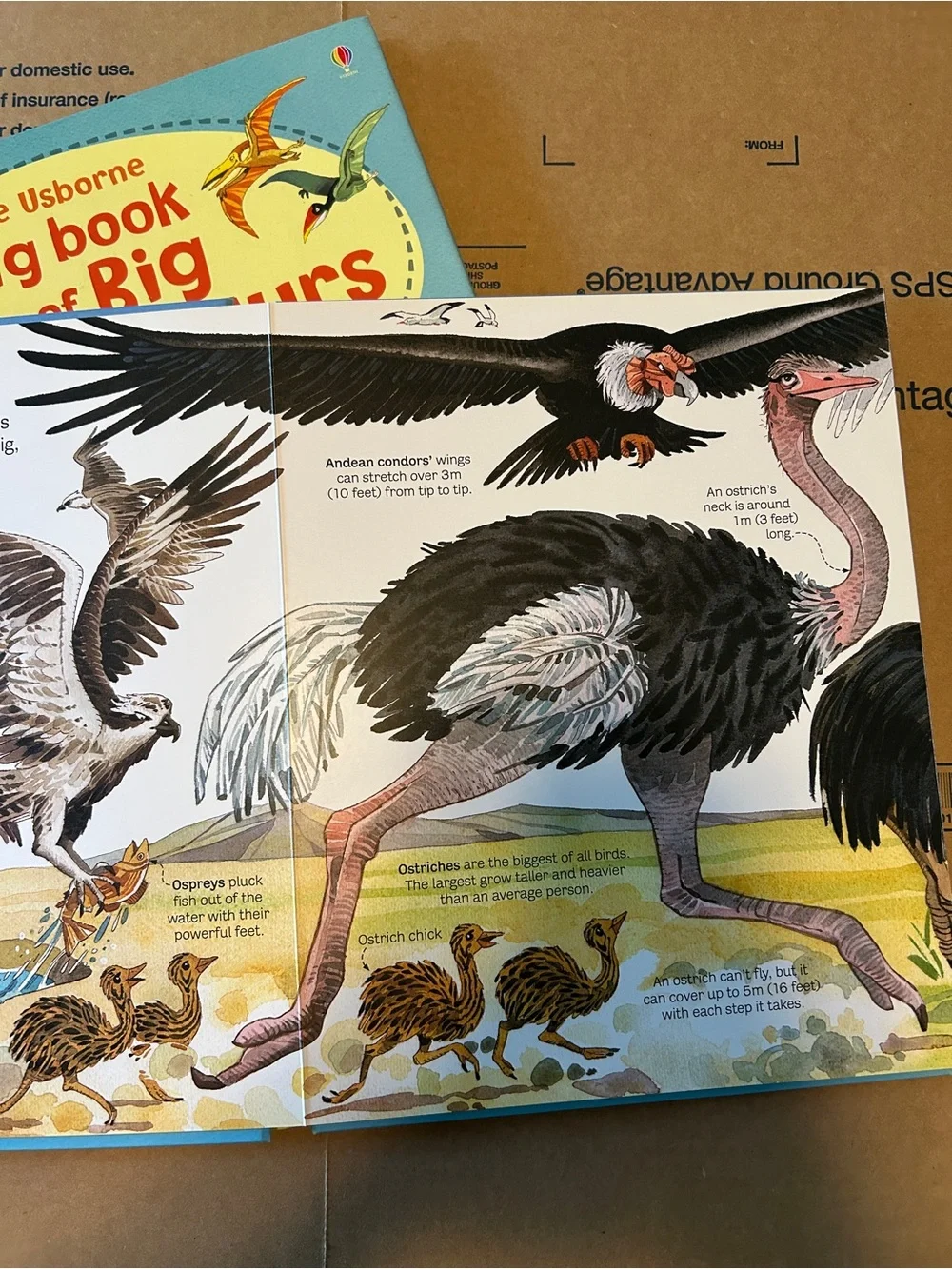 Usborne book of Big Animals and Big Dinosaurs