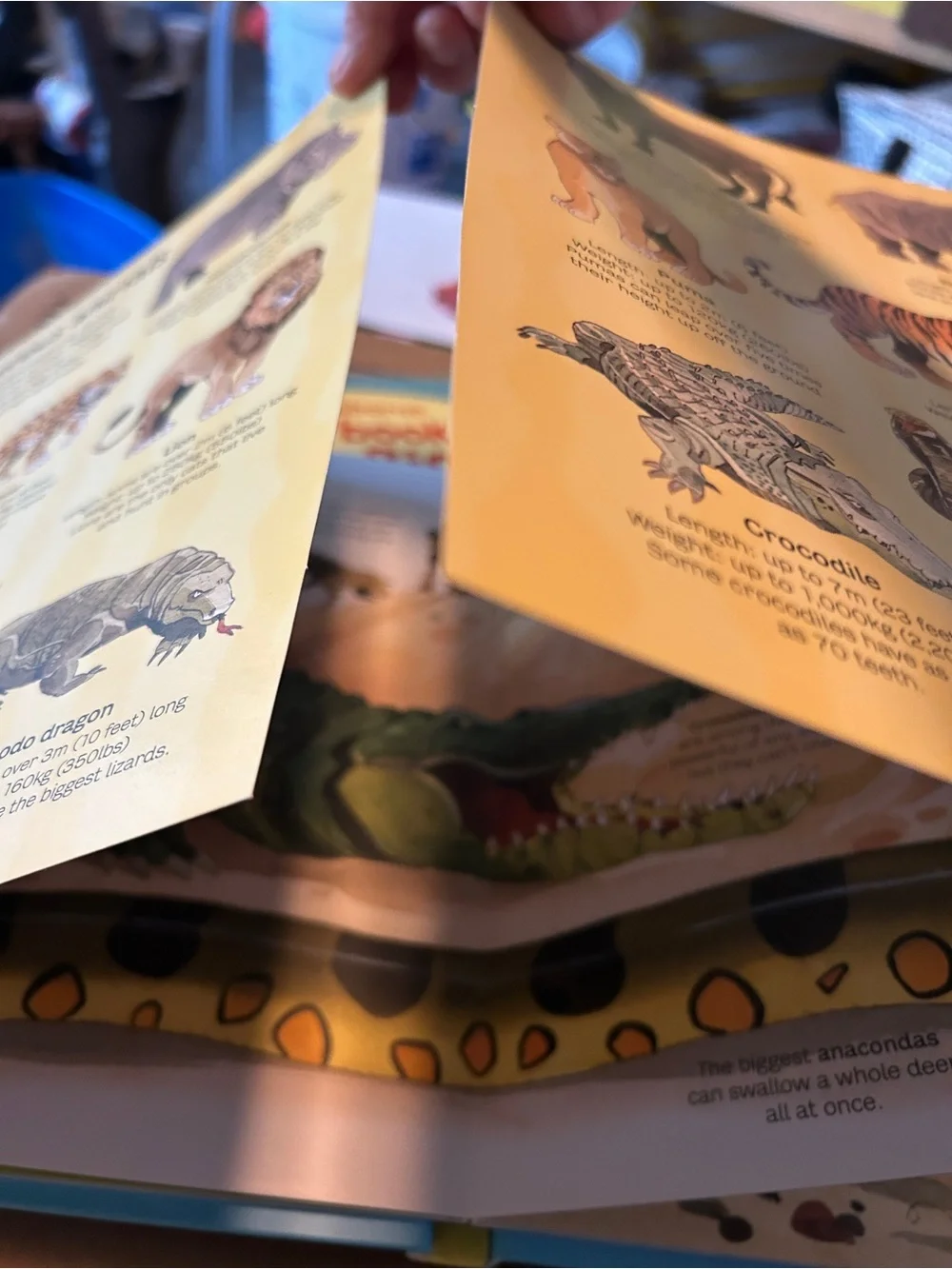 Usborne book of Big Animals and Big Dinosaurs