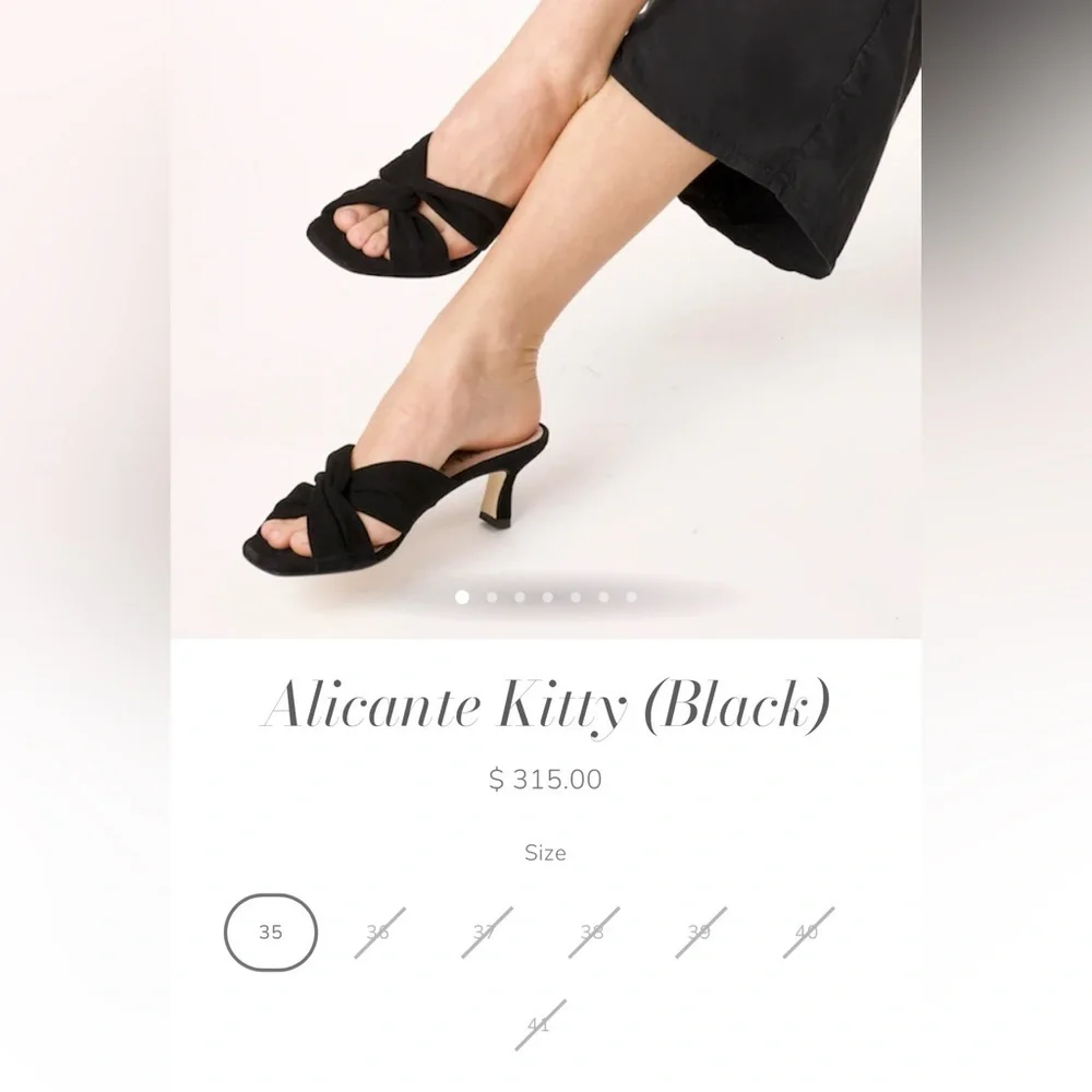 Anyi Lu sold out