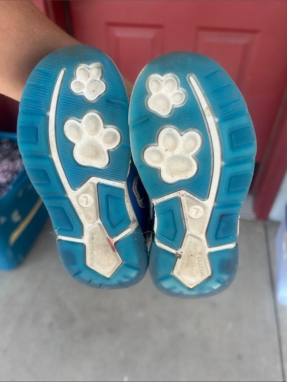 Paw Patrol fun blue