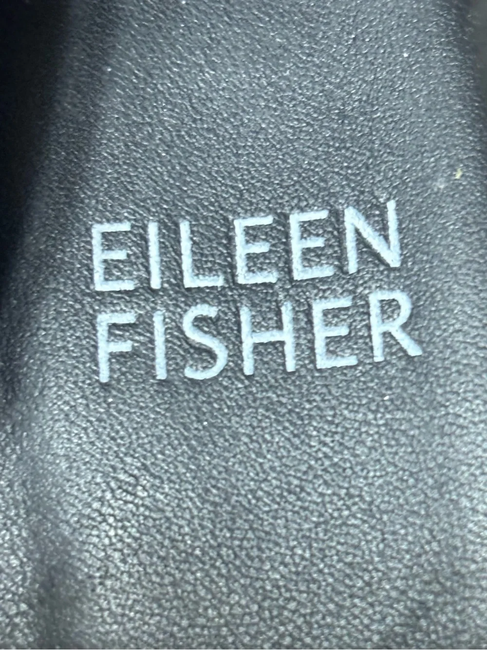 Eileen Fisher pointed toe