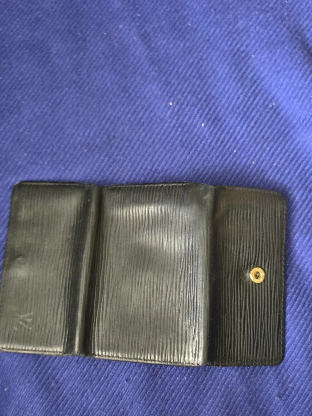 Louis Vuitton pair louis