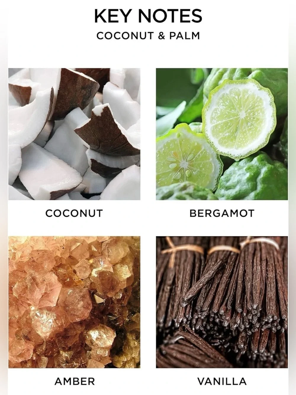 NEST Fragrances new brand box