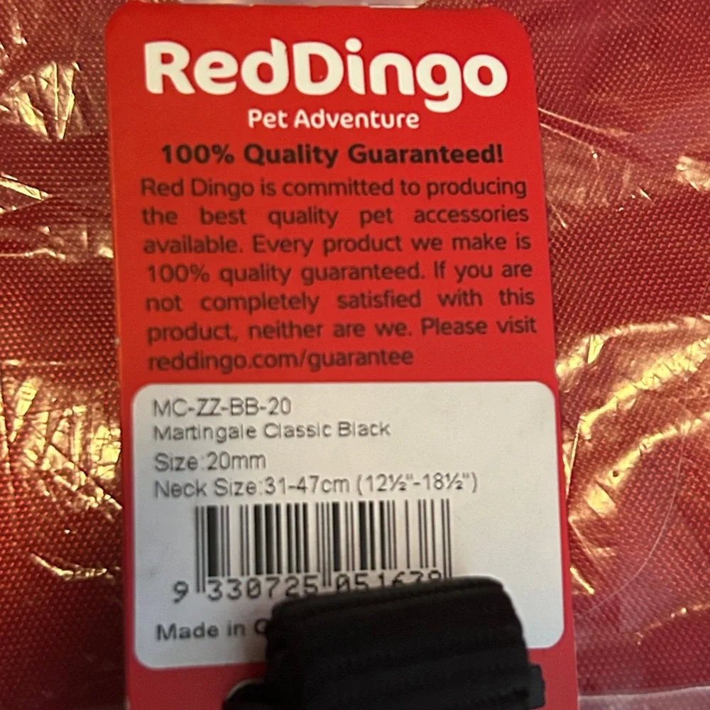 dingo questions leave comment