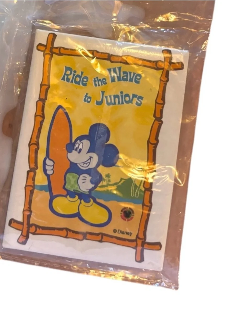 Disney vintage rude