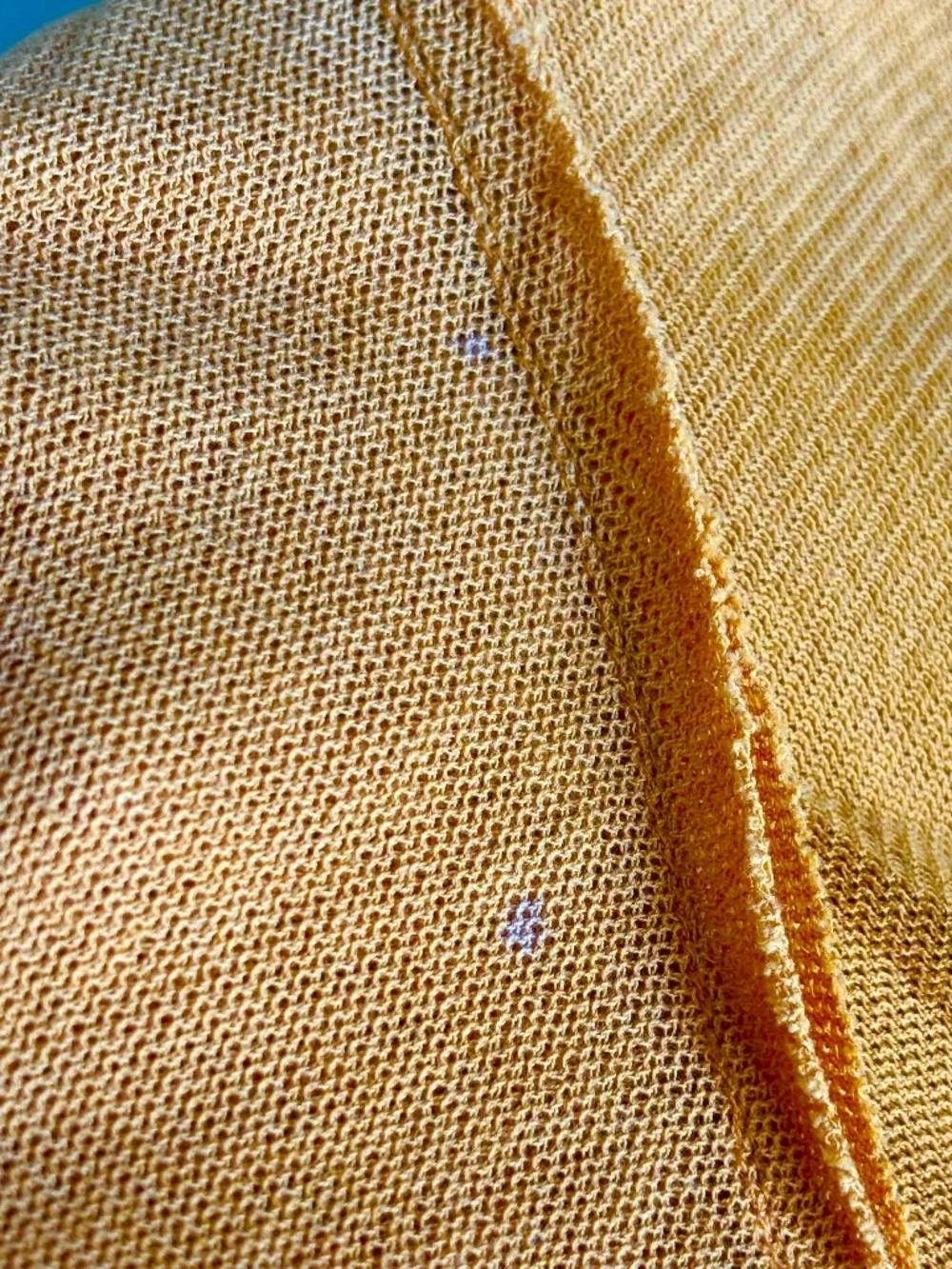 Free People product details