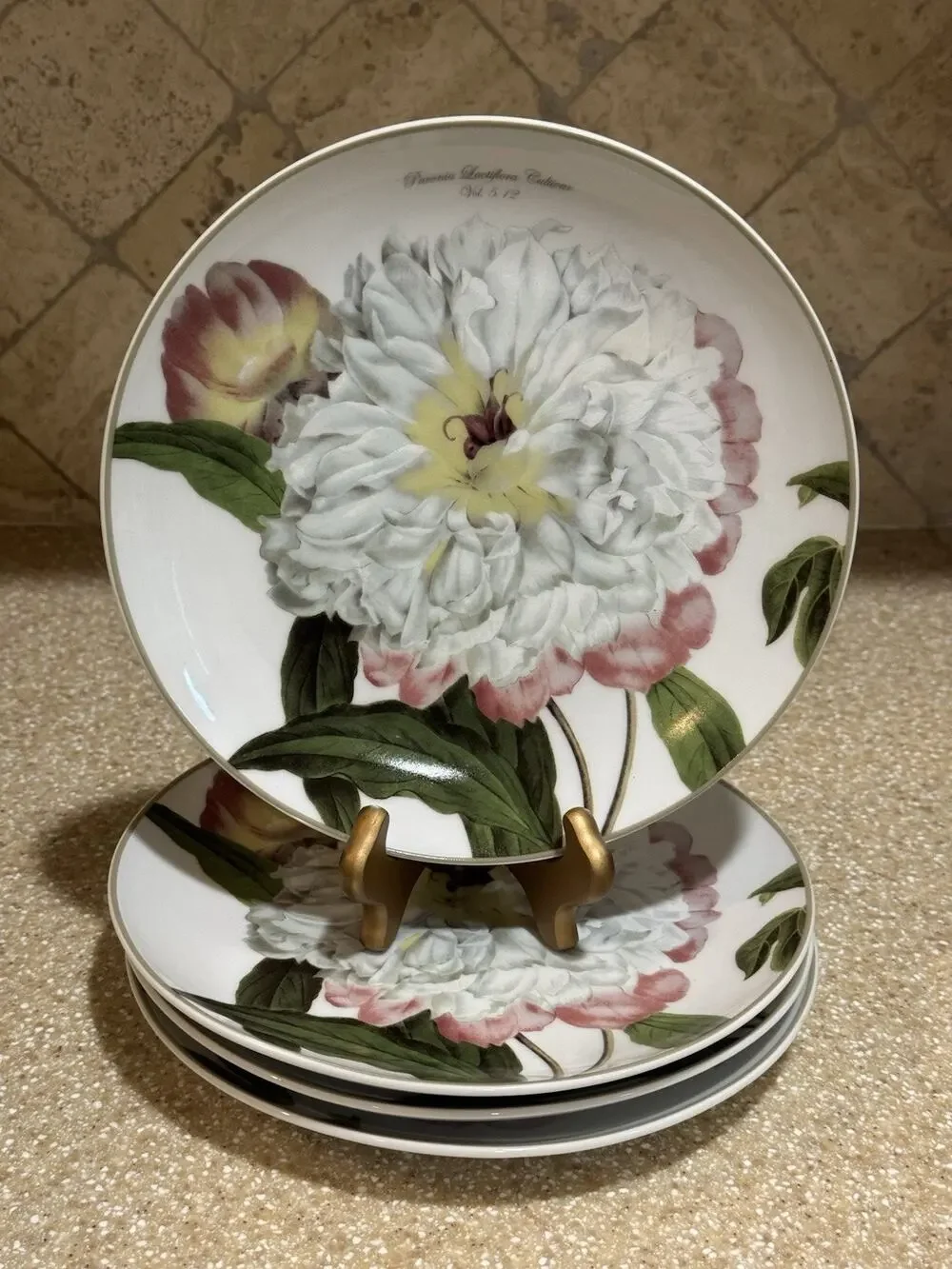 Williams-Sonoma Botanical Peony Salad Plates 4 Cottagecore Grandmillennial 2011