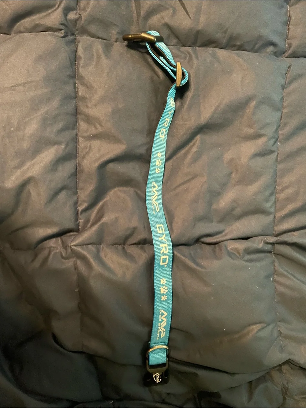 Gyro sturdy teal